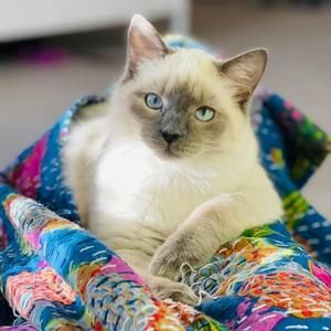 Meet your Posher, Amy